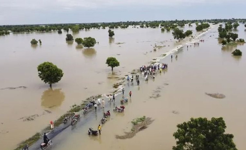 Nijerya'da sel: 100 binden fazla kişi yerinden oldu, kolera ve sıtma başladı