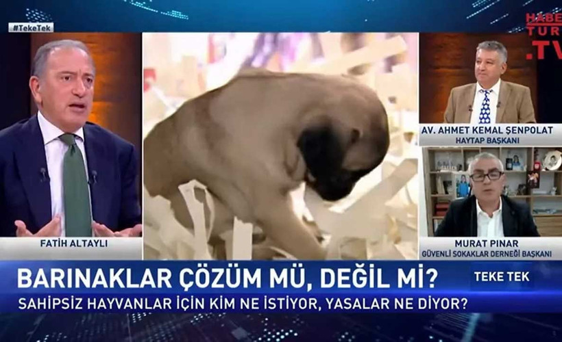 Altaylı'dan 'car car konuşuyorsunuz' açıklaması: Hata yaptım