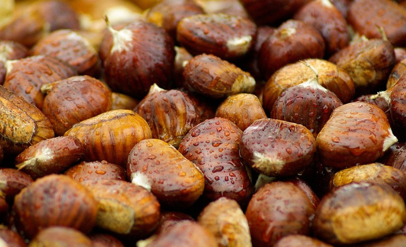 Kestaneyi pişirirken böyle yapın; Kabuğundan kolayca ayrılıyor ve içi lokum gibi oluyor