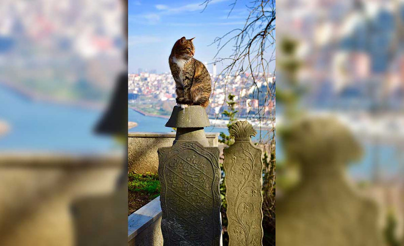 İstanbul'da mezar yeri fiyatlarına da zam: 45 bin liraya yükseldi