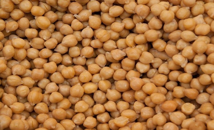 Nohutta zehir tehlikesi! Pişirirken doğru yaptığınızı sanıyorsunuz ama doğru değilmiş!