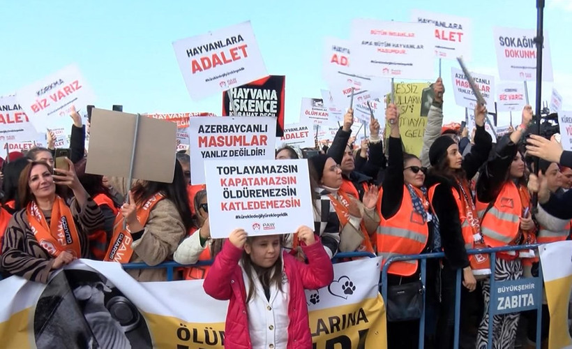 Hayvan hakkı savunucularından miting: Türkiye 'Hayırsız Ada' olmasın