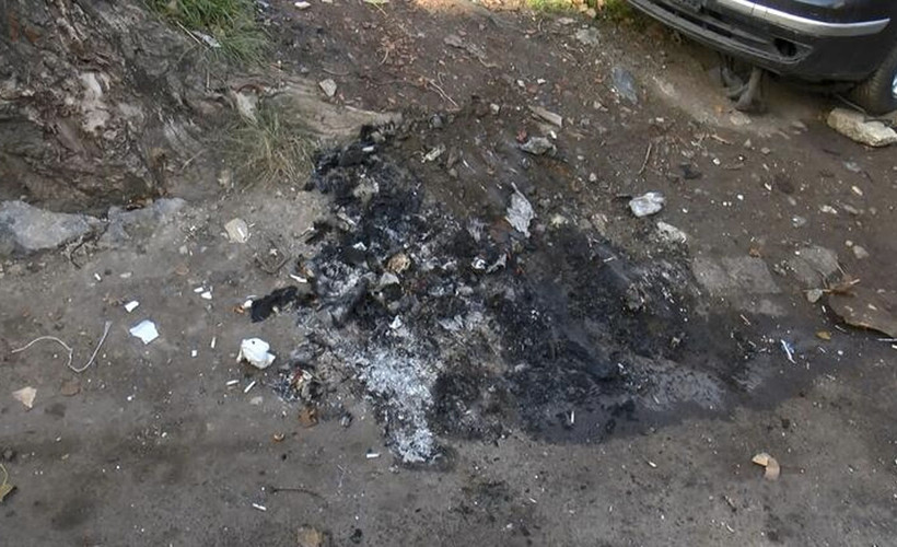 Sokak ortasında köpeği yakarak öldürdüler