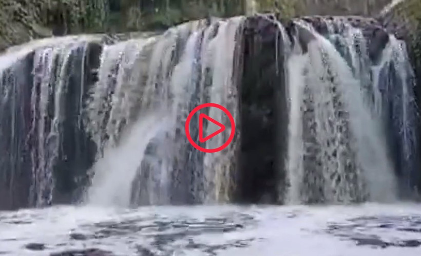 'Ordu'da belediye tesisi atık suyu arıtmadan derelere bırakıyor'