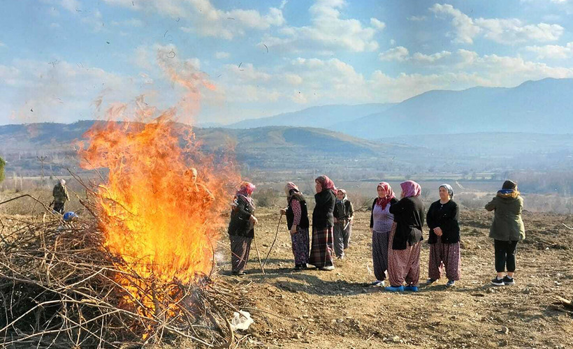 Köylülerden Vali'ye 'sökülmüş ağaç' tepkisi: 'Bu kiraz ağacının günahı sana sorulsun'