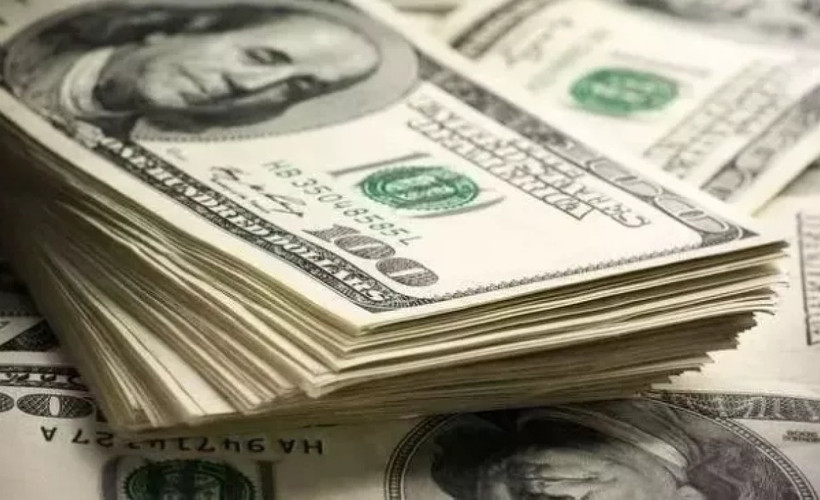 Özel sektör bir yıl içinde 40 milyar dolar dış borç ödeyecek
