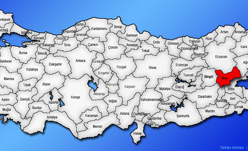 Muş seçim sonuçları