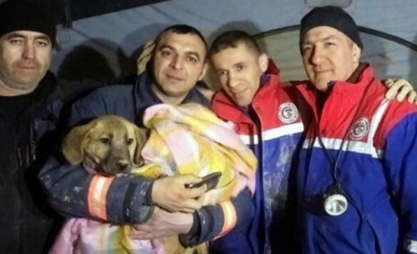 Kuyu isimli köpek karantinada mı?