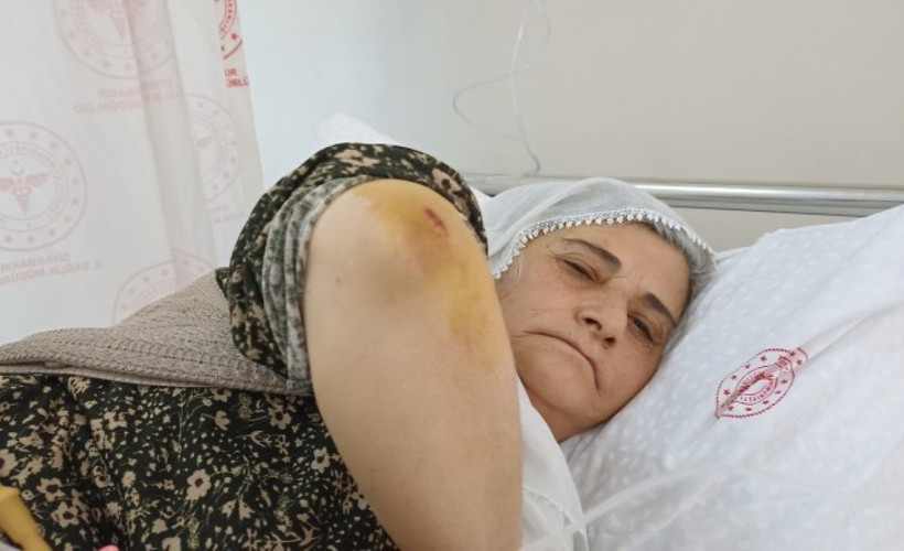 Diyarbakır'da bir kadın, DİSKİ personeli tarafından darp edildi