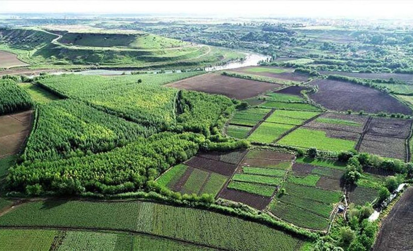 UNESCO listesindeki Hevsel Bahçeleri'nin biyoçeşitliliği kayıt altına alınıyor