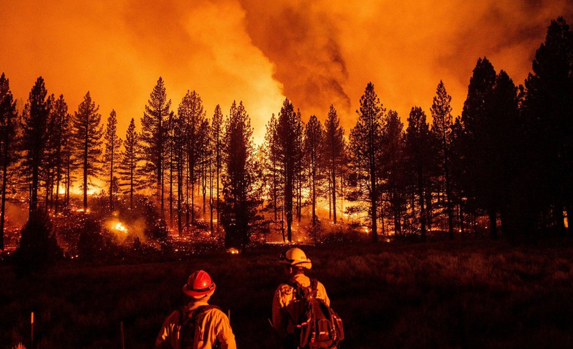 Orman yangınlarına küresel ısınma etkisi: Daha erken başlıyor ve uzun sürüyor