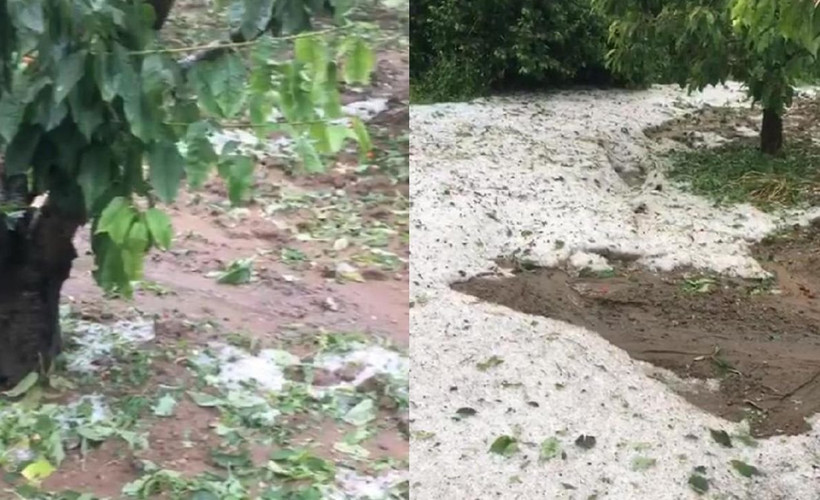Tokat'ta sağanak yağış ve dolu: Meyve ağaçları zarar gördü