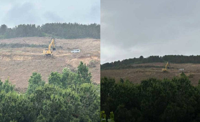 Maltepe Kışlası'nda TOKİ için ağaç kesimi