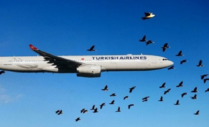 Uçak kuş sürüsüne çarptı