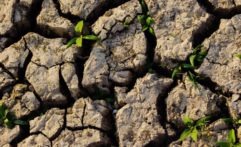 TEMA: Türkiye'nin yüzde 73.4’ü çölleşme tehlikesi altında