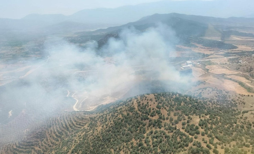 İzmir'de tarlada çıkan yangın ormana sıçradı