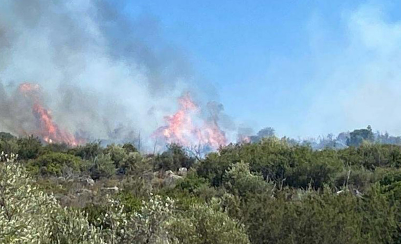 İzmir Çeşme’deki orman yangını kontrol altına alındı