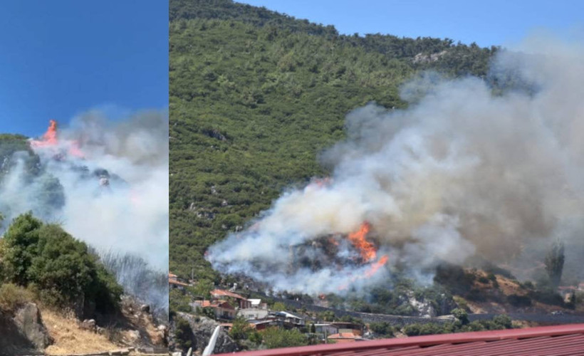 İzmir'de üç orman yangını