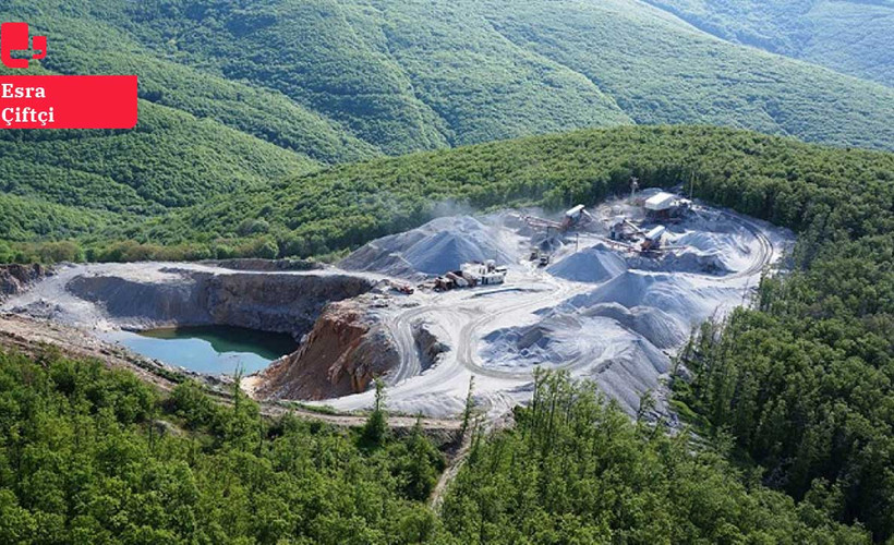 Doç. Kurdoğlu: ‘Kesilen ağacın beş katını dikeceğiz’ söylemine çocuk bile inanmaz