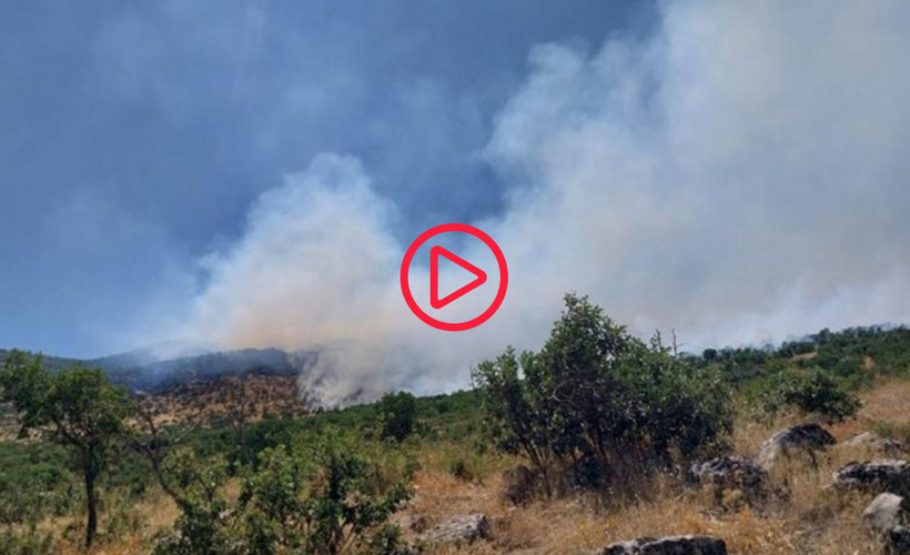 Lice’deki yangın için acil müdahale çağrısı