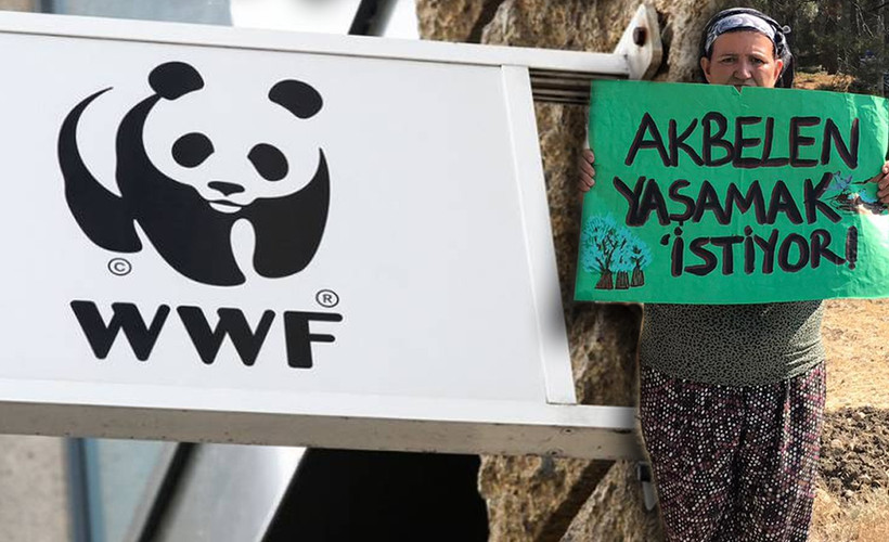 Sivil toplumda 'Akbelen' etkisi: Koç, Eczacıbaşı ve Özyeğin, WWF-Türkiye'den ayrılıyor