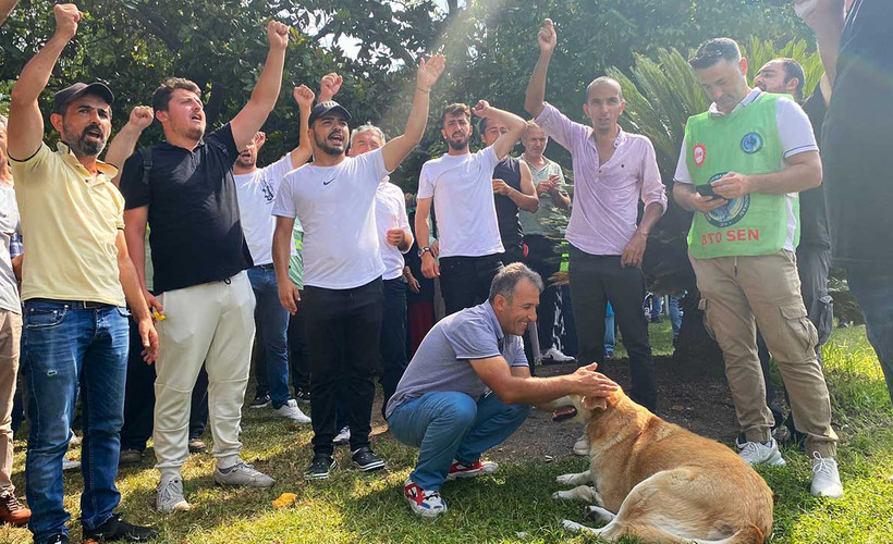 İBB'ye bağlı park bahçe işçileri direnişlerinin dördüncü gününde: 'Konumumuz belli, direnişteyiz'