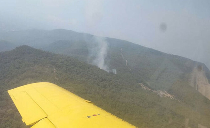 İzmir'de çıkan orman yangını kontrol altına alındı