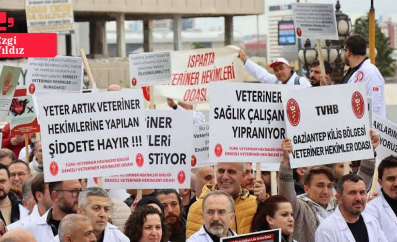 Veteriner hekimler şiddete karşı iş bıraktı: Sağlıkta Bakanlığı kapsamına alınmamamız mağdur ediyor