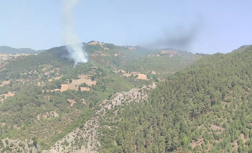 Adana'da orman yangını