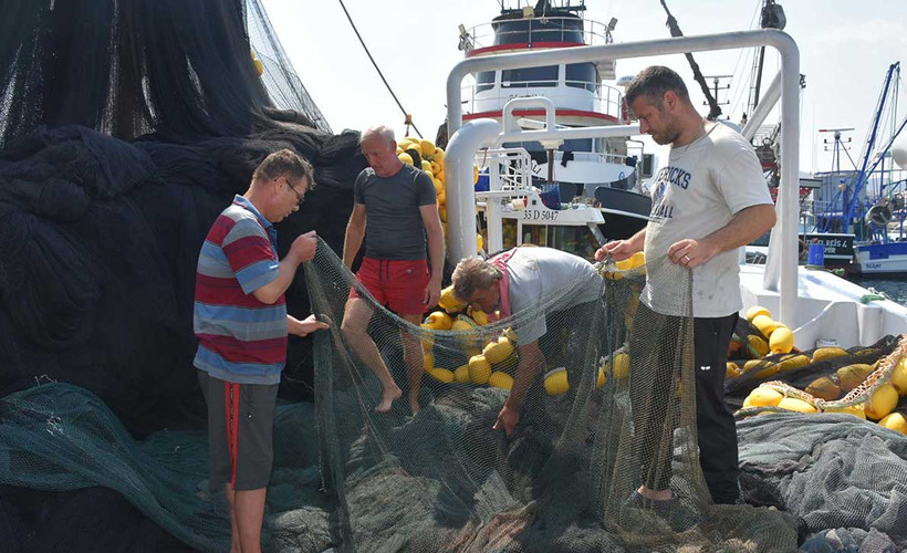 Balıkçıların '1 Eylül' hazırlığı: Av sezonu başlayacak