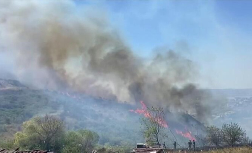Büyükçekmece'de ormanlık alanda yangın çıktı