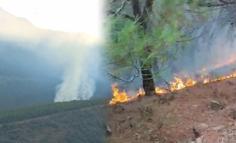 İzmir'de düşen yıldırım ormanı yaktı