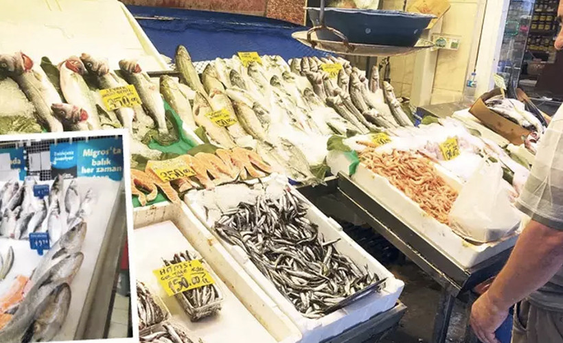 Hamsi av sezonuna 150 TL ile başladı