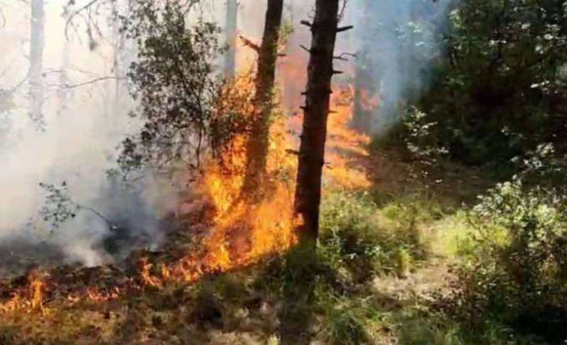 Sultangazi Kent Ormanı'nda çıkan yangın söndürüldü