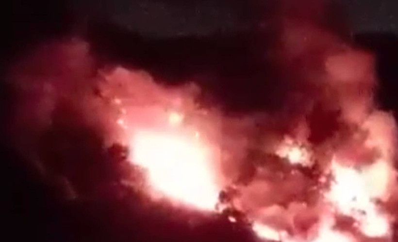 Pendik'te ormanlık alanda çıkan yangına müdahale ediyor