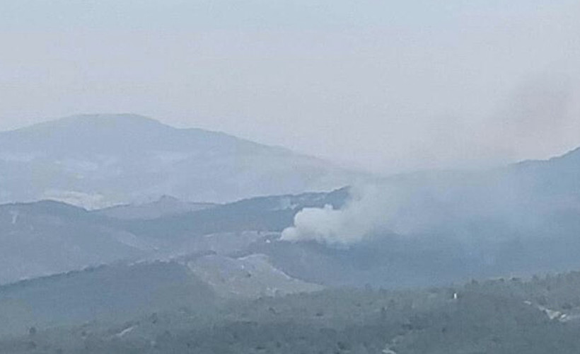 Manisa'da orman yangını