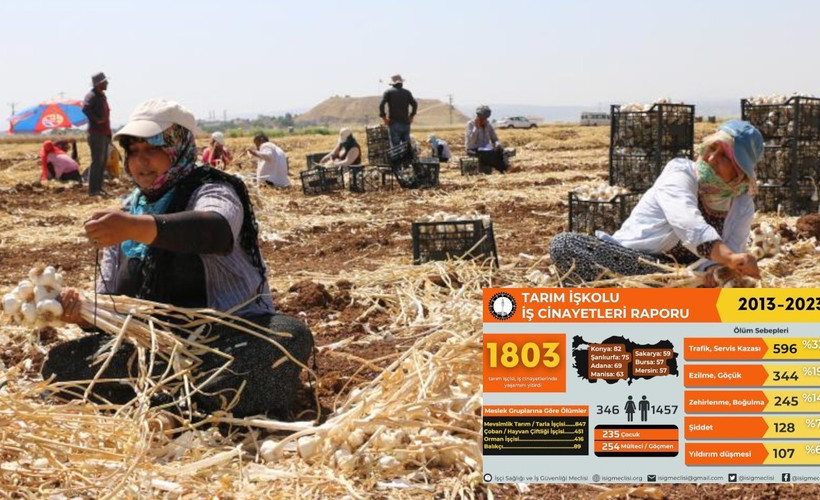 İSİG Meclisi'nden Agrobay paylaşımı: Tarımda son 10 yılda en az 1803 iş cinayeti işlendi