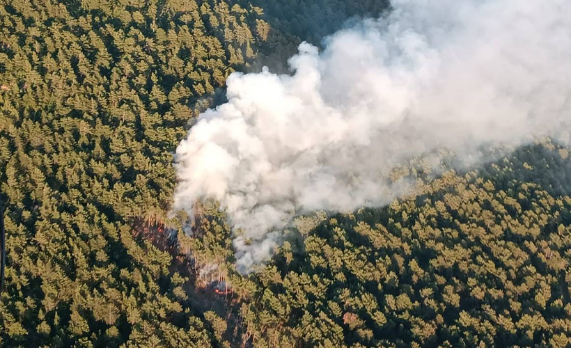 Hatay'da orman yangını