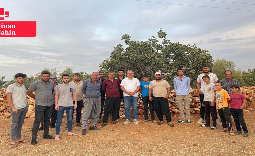 Antep'te fıstık üreticileri taban fiyat istiyor: 'Emeğimiz üç beş tüccarın cebine giriyor'