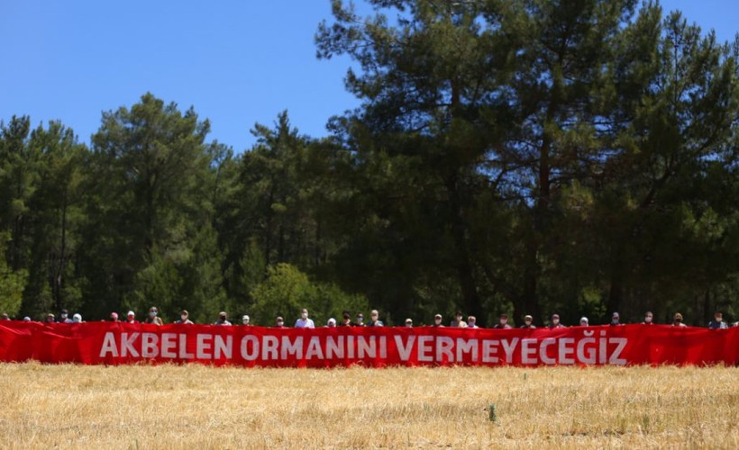 İkizköylüler, Akbelen Ormanı davası için mahkemeye yürüyecek: 'Hadi yürüyün, siz de geliverin gari!'