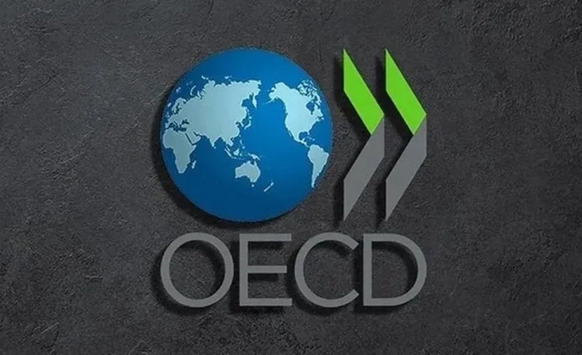 OECD'den Türkiye için büyüme ve enflasyon tahmini