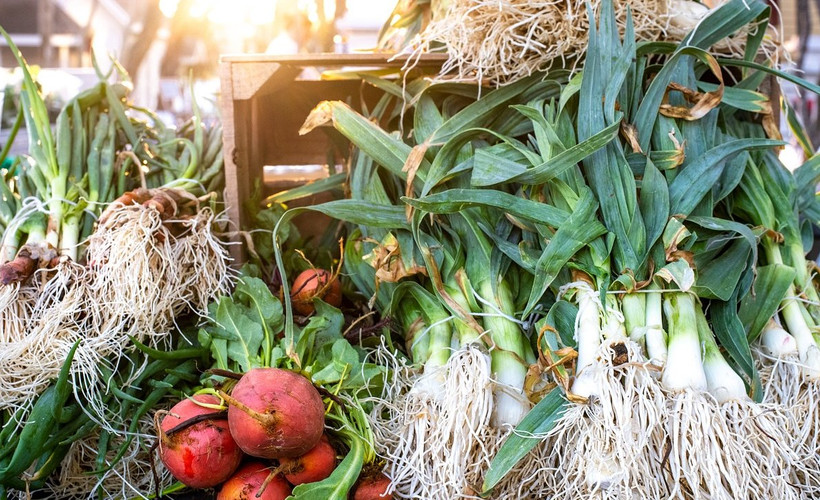 Hasadı ülke genelinde başladı: Uzun ömürlü yaşam onunla mümkünmüş