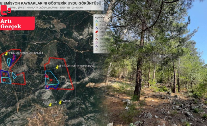 Muğla’da ekolojik talan: Altı mermer ocağı için 12 binden fazla ağaç kesilecek