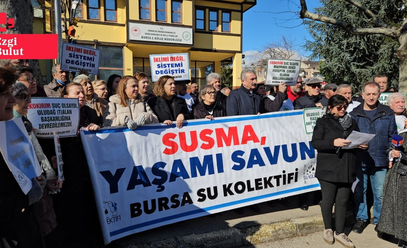 Bursa'da üç yılda 4 milyon metrekare alan orman vasfından çıkarıldı... Su Kolektifi: Ormanlardan elinizi çekin