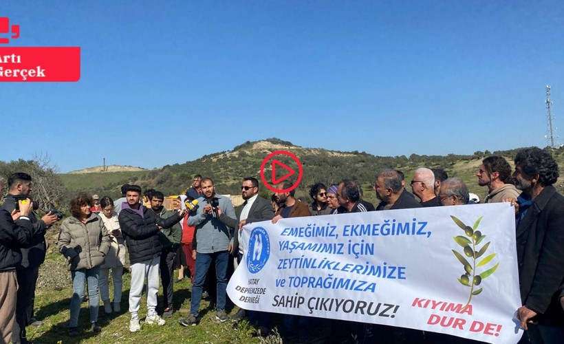 AKP'li Binbay'ın şirketi Defne'de zeytinlikleri söküyor: Kamulaştırılan alana TOKİ tarafından konut yapılacak