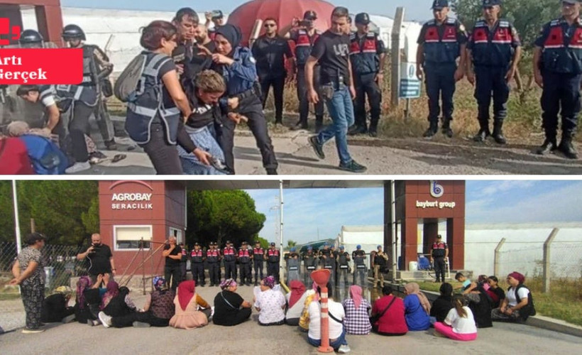 Agrobay işçileri direnişteyken Bayburt Grup'a teşvik yağdı