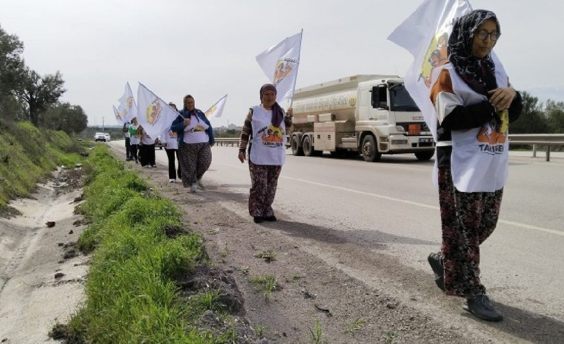 Agrobay işçileri Ankara'ya yürüyor: Bizi bu yola düşürenler utansın