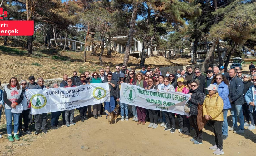 Saros Körfezi'nde çam ormanına beton: 'Kamusal alanda kıyım ve talan'