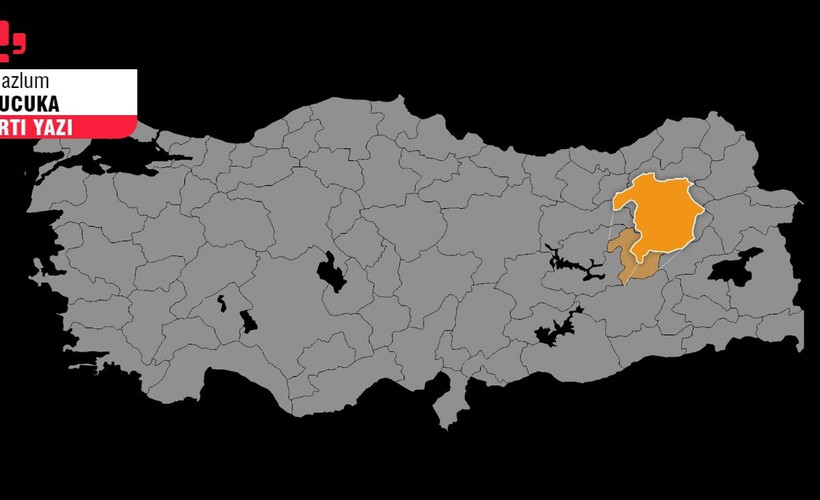 Haritadaki turuncu delik: Kürt siyaseti neden Bingöl'de kazanamıyor?
