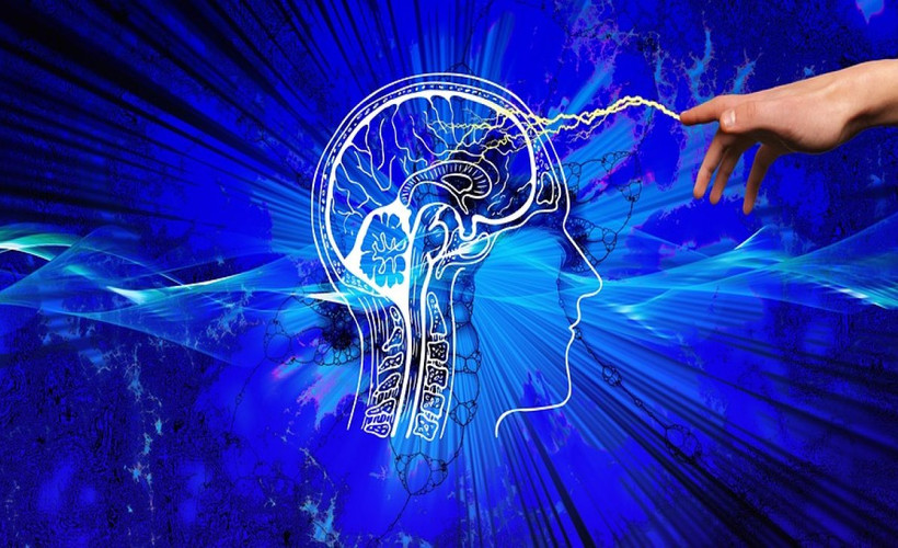 Güçlü bir hafıza için tüketmeniz gereken 10 yiyecek! Beyne ve hafızaya iyi geliyorlar...